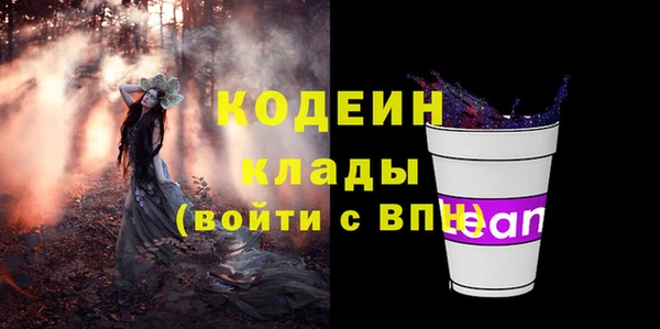 прущие грибы Абаза
