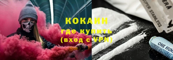 прущие грибы Абаза