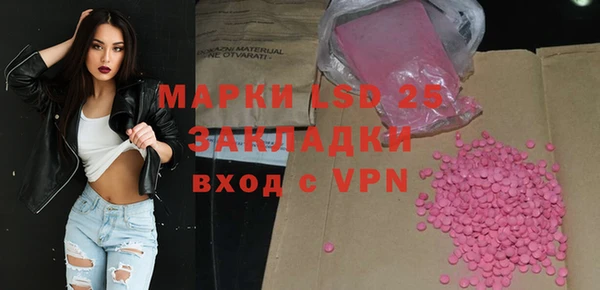 прущие грибы Абаза