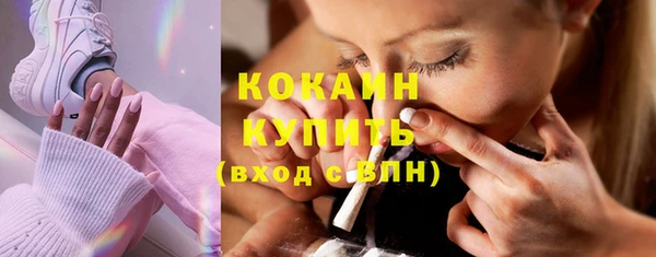 прущие грибы Абаза