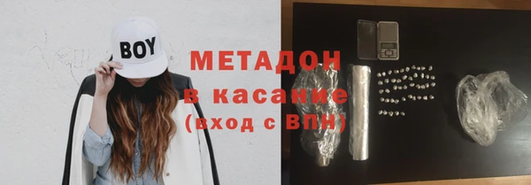 прущие грибы Абаза