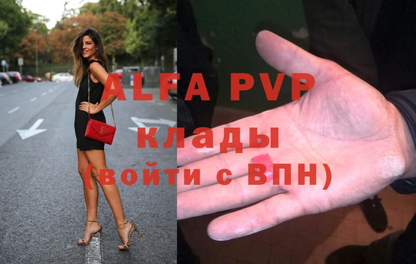 прущие грибы Абаза