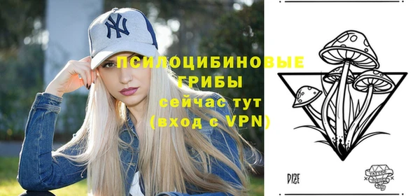 2c-b Абинск