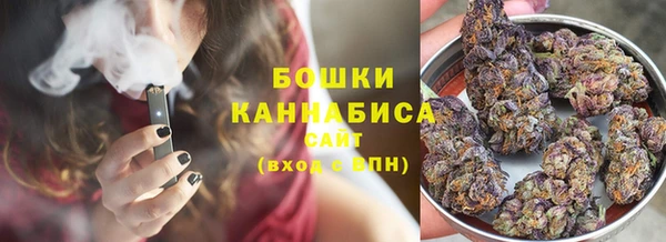 прущие грибы Абаза