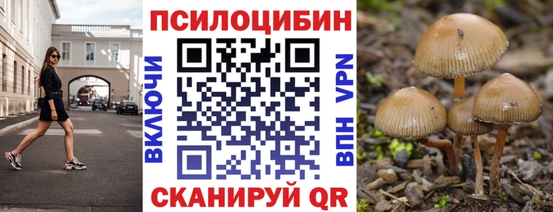 магазин продажи наркотиков  Сальск  Галлюциногенные грибы Cubensis 